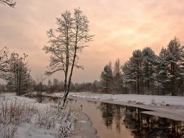 Winterlandschaft mit Fluss / ***