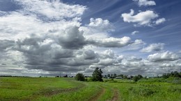 Vorboten Gewitter ... / ***