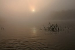 Lakonischen Morgendämmerung. / ***