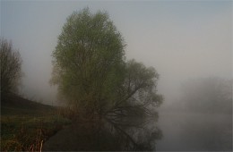 Frühlingsmorgen / ***