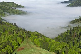 Über den Wolken / ***