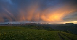 Der Abend nach dem regen / ***