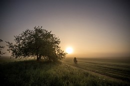 Am frühen Morgen Fischerei / ***