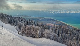 Winter auf dem Hintergrund des Frühlings. / ***