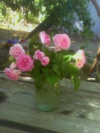 Morgen Bouquet / ***