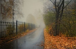 Oktober Nebel / ***