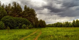 Nach dem Regen / ***