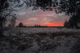 Dramatic winter night / ***