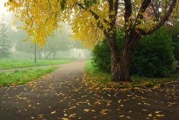 Herbst und Nebel ... / ***