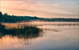 Über Nebel auf dem Fluss / ***