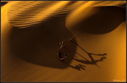 Zeichnungen im Sand / ***