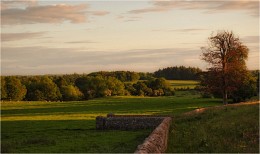 ... Abend-Landschaft ... / ***