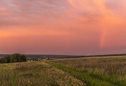 Abendpflege Löwenzahn ... / ***