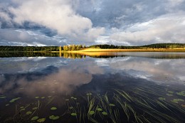 Spiegel Augustabend / ***