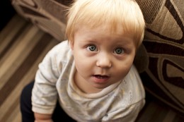 Neffe / ***