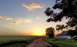 Der Weg in den Sonnenuntergang ... / ***