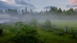 Abendnebel nach regen ... / ***