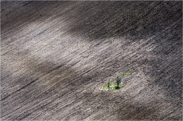 Liberty Island ..... / ***