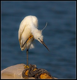 was hast du gesagt? ... Ich weiß nicht hören ... / ***