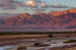 Nach dem regen, die Negev. Israel / ***