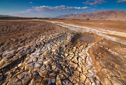 Nach dem regen, die Negev. Israel / ***