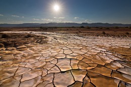 Nach dem regen, die Negev. Israel / ***