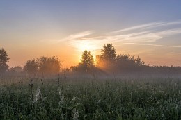 Durch den Nebel. / ***