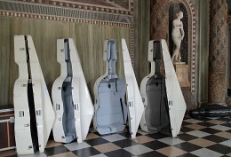 Musik Muscheln) / ***