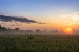 Beschäftige mich mit der Morgendämmerung. / ***