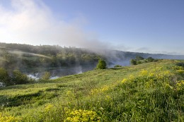 Morgennebel / ***