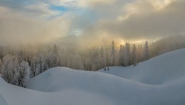 Winter Nebel. / ***