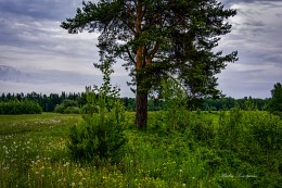 Breath of Nature! / ***