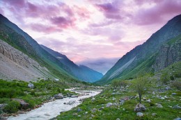 Die Berge in den Morgen / ***