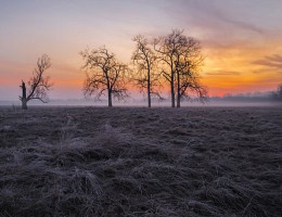 Malen Sie die Sonne / ***