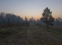 Kalte Morgendämmerung / ***