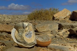 Drusen. Plateau El Gouna. Ägypten. Sinai / http://nesvitsky.com/foto-el-guna-sinay/