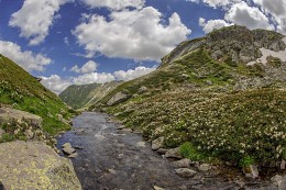 Die richtige Quelle des Flusses Kleine Dukka (Altitude u.m.2480 m) / ***