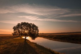 Sommer Sonnenaufgang am Fluss Pronya / ***