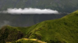 Verirrte Wolke ... / ***