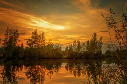 Abend auf dem See / ***