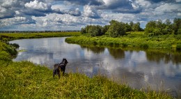 Es in der Ferne, über den Fluss ..... / ***