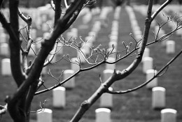 Known but to God / ***