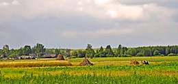 Bauernhaus / ***