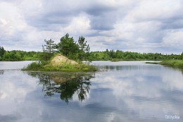 Spiegelähnliche Oberfläche / ***