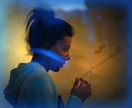 Drei Farben: Blau / ***