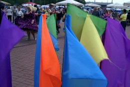 mnogotsvetnoplyusyasiny / ***