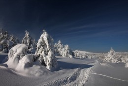 Auf den Straßen der Winter / ***