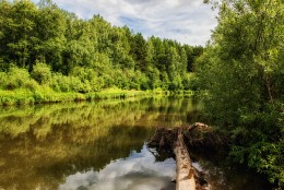 Fluss Chebula / ***