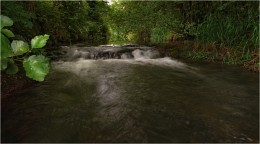 ... Über den Lärm des Wassers II ... / ***