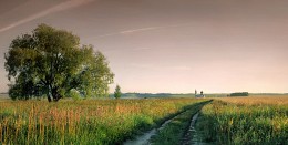 Der Weg zum Tempel .. / ***